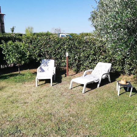 L'Aia Degli Olivi Lägenhet Vada Exteriör bild