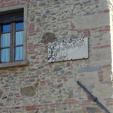 L'Aia Degli Olivi Lägenhet Vada Exteriör bild