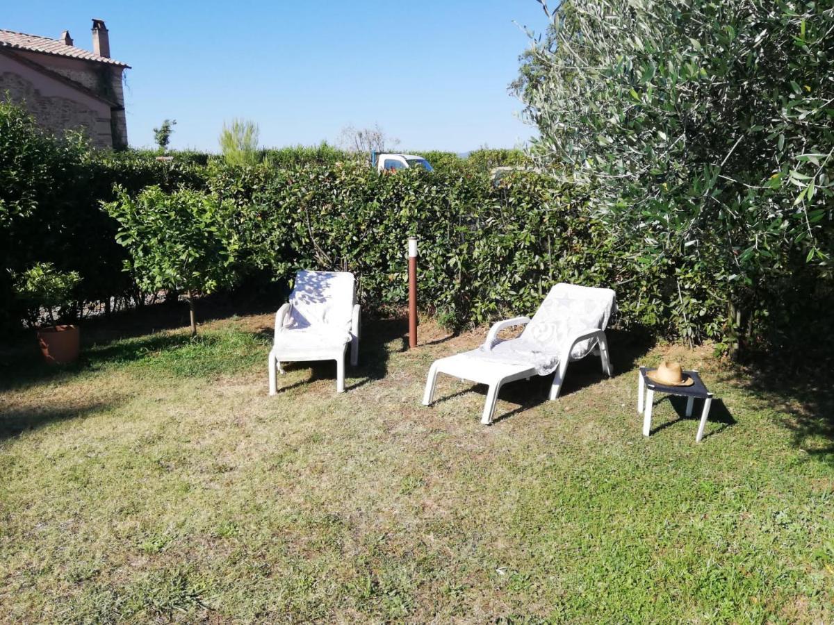 L'Aia Degli Olivi Lägenhet Vada Exteriör bild