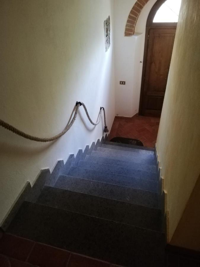 L'Aia Degli Olivi Lägenhet Vada Exteriör bild