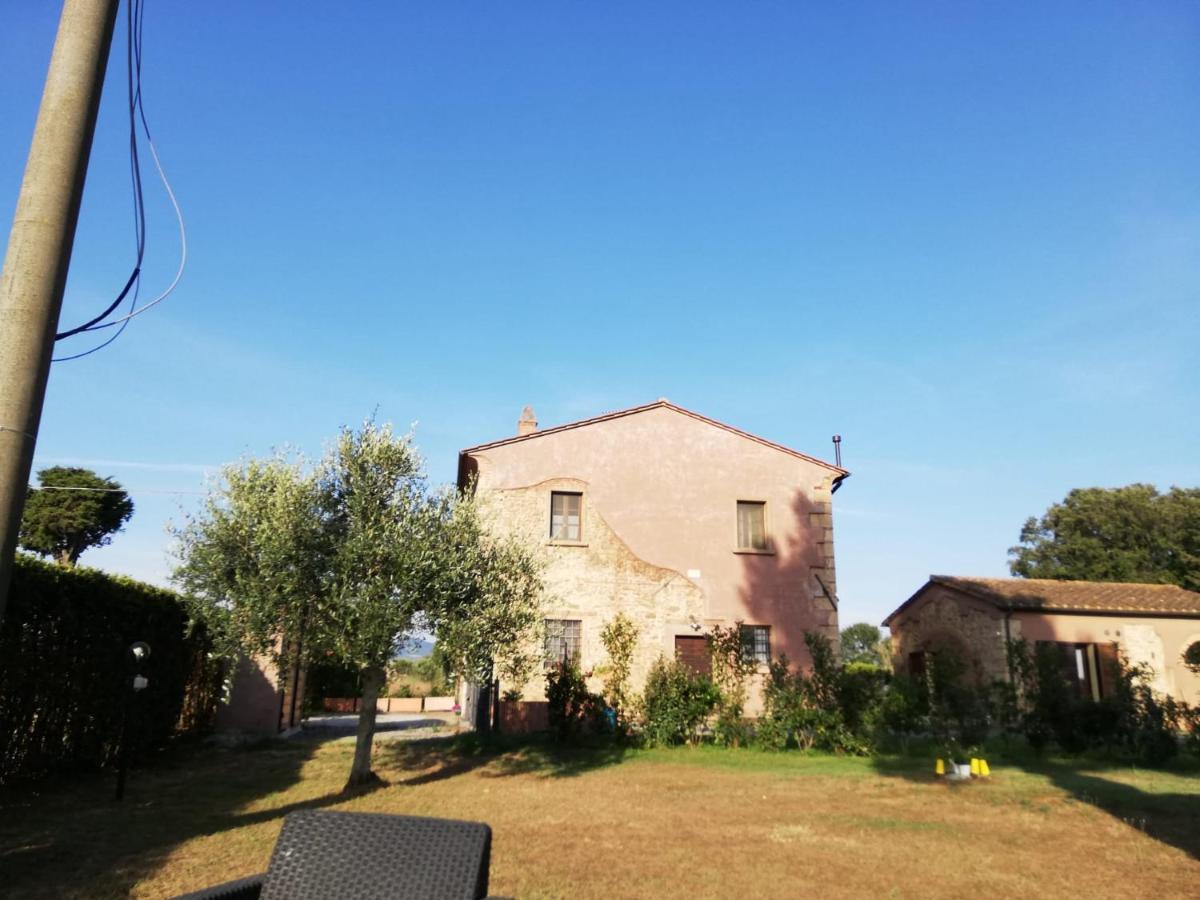 L'Aia Degli Olivi Lägenhet Vada Exteriör bild