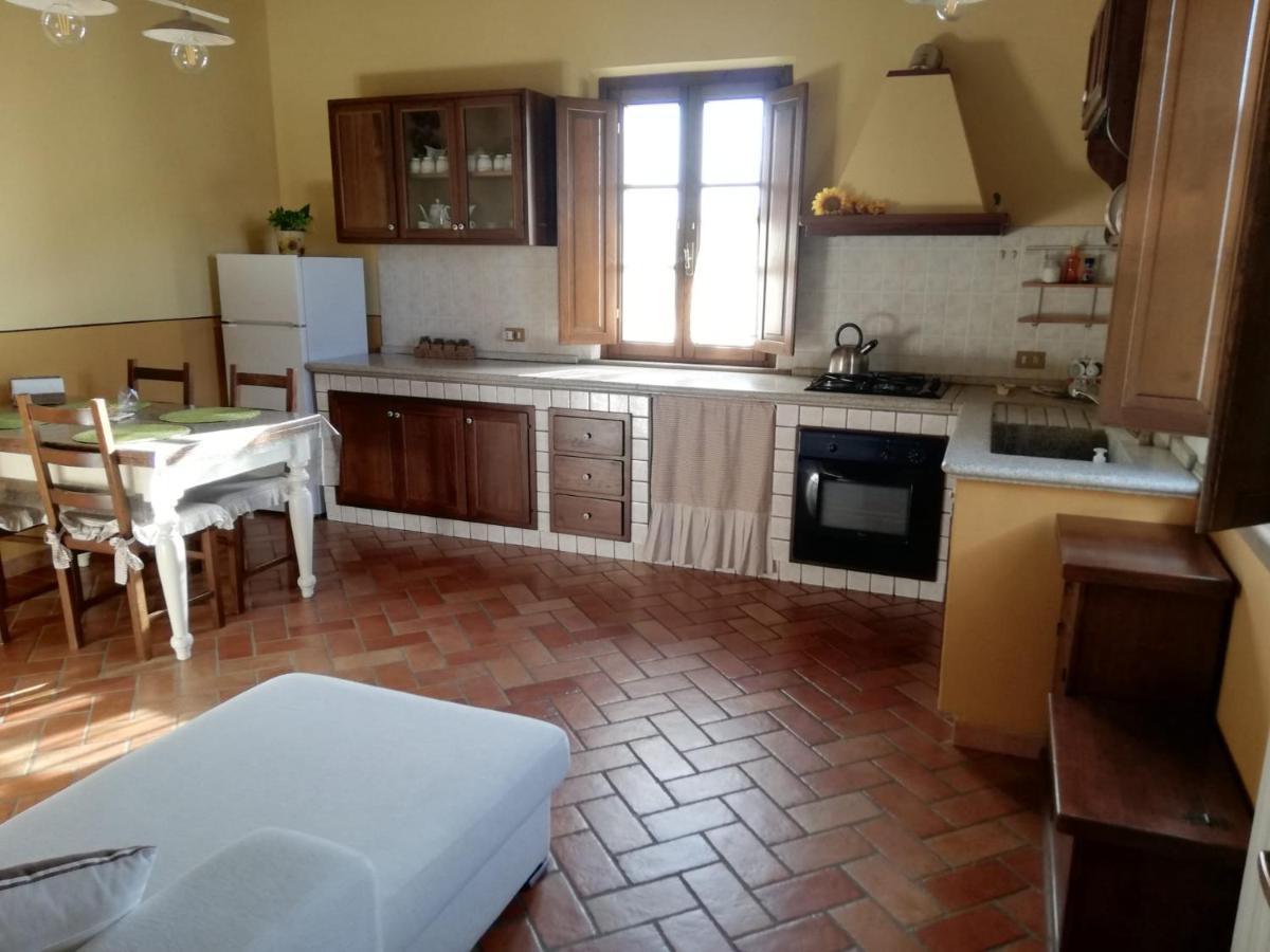L'Aia Degli Olivi Lägenhet Vada Exteriör bild