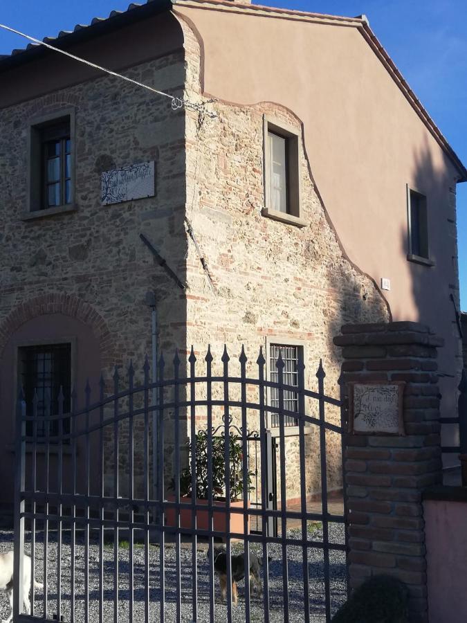 L'Aia Degli Olivi Lägenhet Vada Exteriör bild