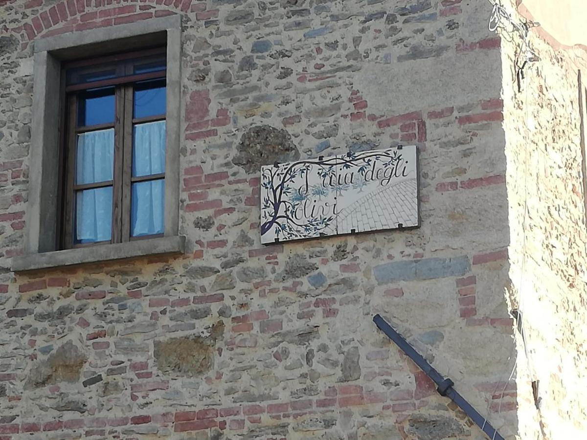 L'Aia Degli Olivi Lägenhet Vada Exteriör bild